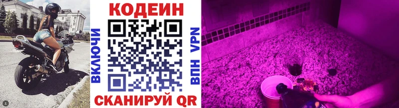 Купить  Кинешма  Кодеиновый сироп Lean напиток Lean (лин) 