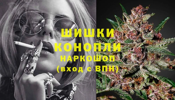 мдпв Ступино