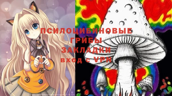 экстази Каменка