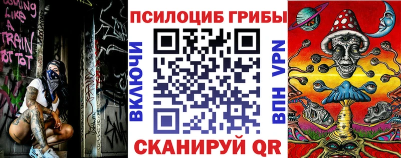 Псилоцибиновые грибы Cubensis  Купить закладки  Кинешма 